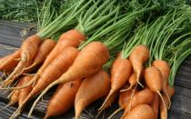 Как вырастить богатый урожай моркови?