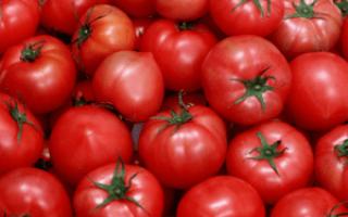 Barrel tomatoes at home: “classics” in the best rural traditions and urban alternatives
