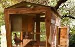 Do-it-yourself chicken coop: making a winter chicken coop, step-by-step instructions with photos