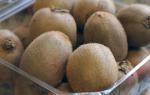 How to store kiwi: useful tips Is it possible to freeze kiwi for the winter