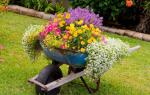 Do-it-yourself flower beds for a summer residence - types, practical tips for creating, unique photo ideas How to make beautiful flower beds using improvised means